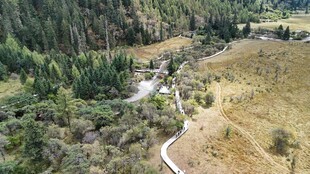 山间蜿蜒小路与葱郁植被