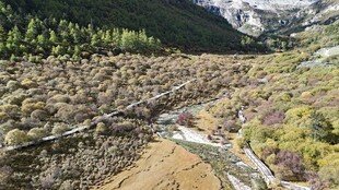 山间河谷壮丽自然景观