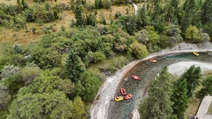 蜿蜒公路穿行于葱郁森林