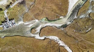 蜿蜒河流的俯瞰景象