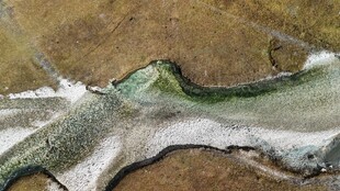 海岸边的绿色植被与浪花