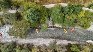 俯瞰绿树环绕的道路场景