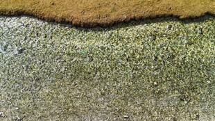 纹理独特的多层材质表面