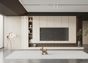电视背景墙 客厅效果图 电视墙