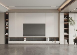 电视背景墙 客厅效果图 电视墙