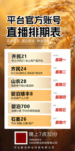 活动海报 红色海报