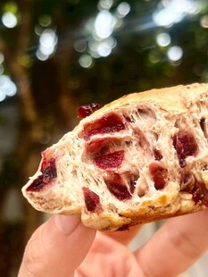 蔓越莓面包