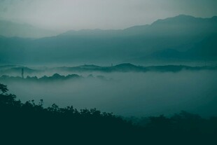 山间晨雾缭绕的静谧景致
