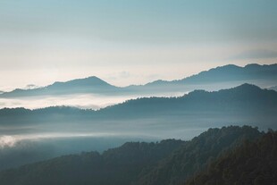 山间晨雾缭绕的壮美景色