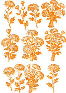 橙色菊花花卉图案设计素材