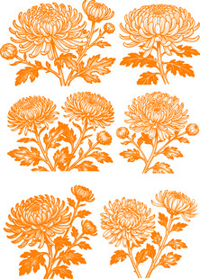 橙色菊花花卉图案设计