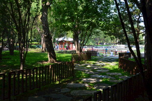 公园风景 