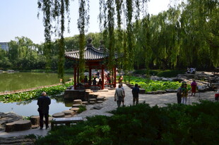 公园风景 