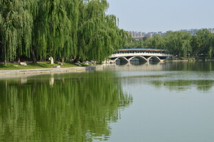 公园风景  