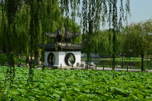 公园风景  