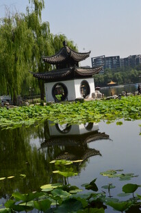 公园风景  