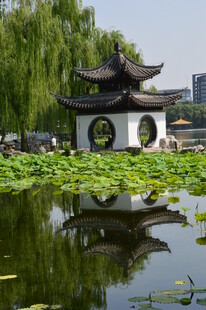 公园风景  