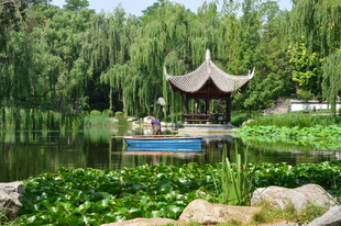 公园风景 