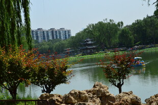 公园风景  