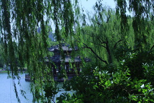 公园风景  
