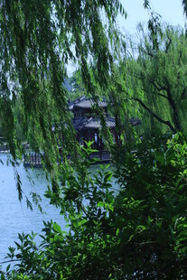 公园风景 