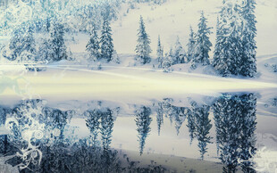 冬日雪景