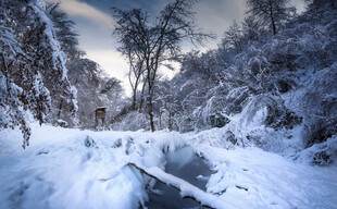 冬日雪景