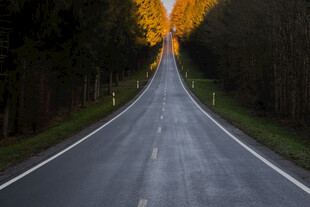 林间公路