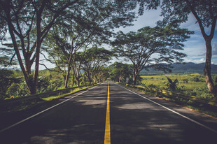 林间公路