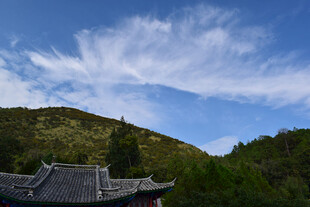 蓝天绿树