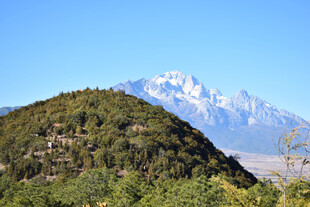 青山
