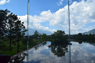 湖面绿树