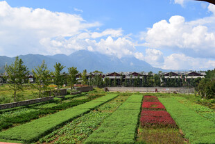 田园风光