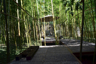 竹林