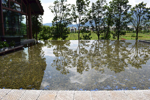 庭院水景