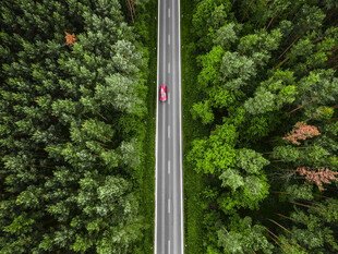 林间公路