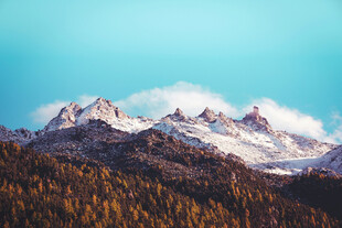 雪山森林