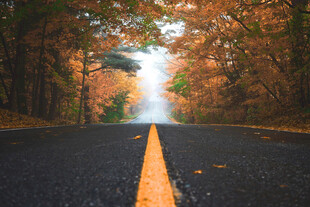 秋日公路