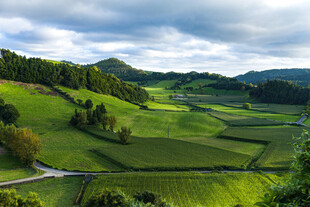 田园风光美景