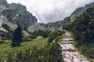 山间小径