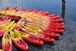 皮划艇