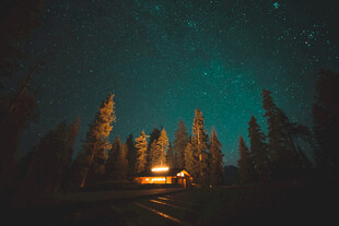 森林星空