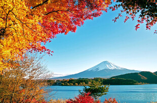 湖畔美景