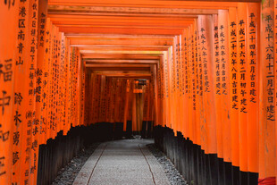 幽静小路