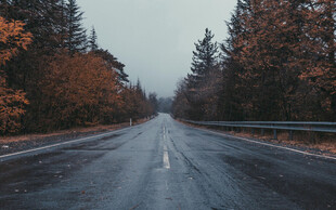 秋日公路美景