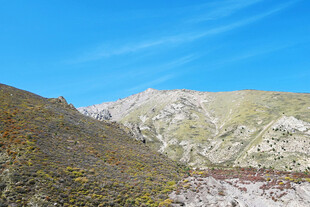 青山