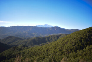 青山