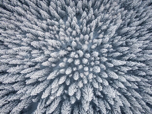 雪景