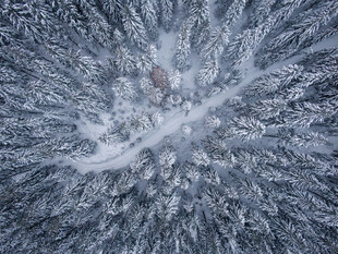 雪景