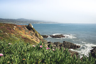 海岸
